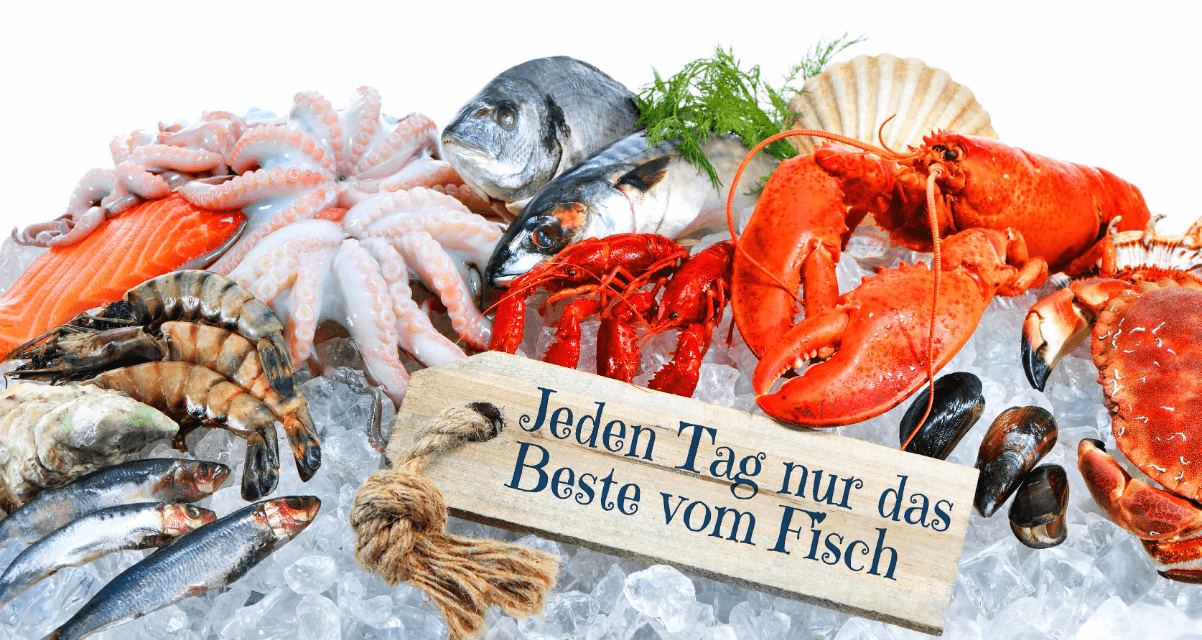 Jeden Tag nur das Beste vom Fisch – Lachs, Garnelen, Hummer und Muscheln auf Eis