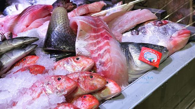 Frischer Fisch an unserem Marktstand – Bild 11