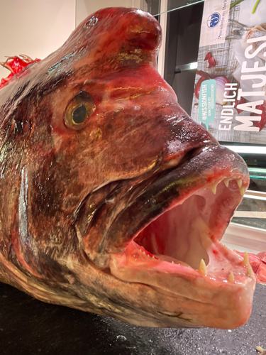 Frischer Fisch an unserem Marktstand – Bild 12