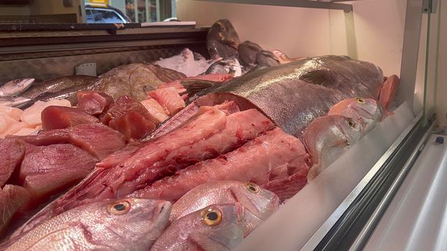 Frischer Fisch an unserem Marktstand – Bild 14