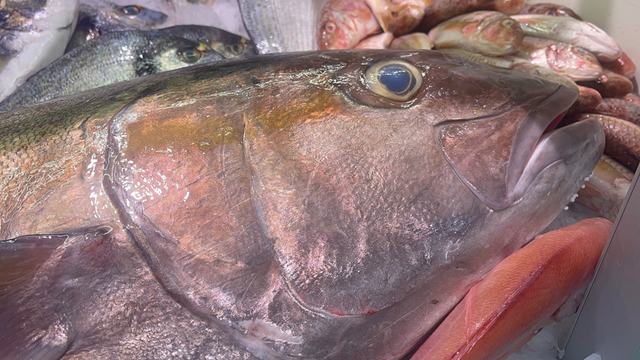 Frischer Fisch an unserem Marktstand – Bild 15