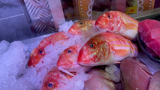 Frischer Fisch an unserem Marktstand – Bild 18