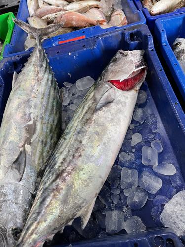 Frischer Fisch an unserem Marktstand – Bild 22