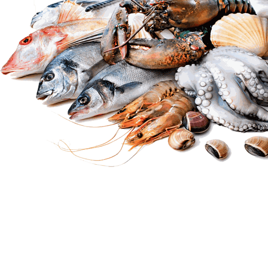 Täglich frischer Fisch, Garnelen, Tintenfisch und Muscheln